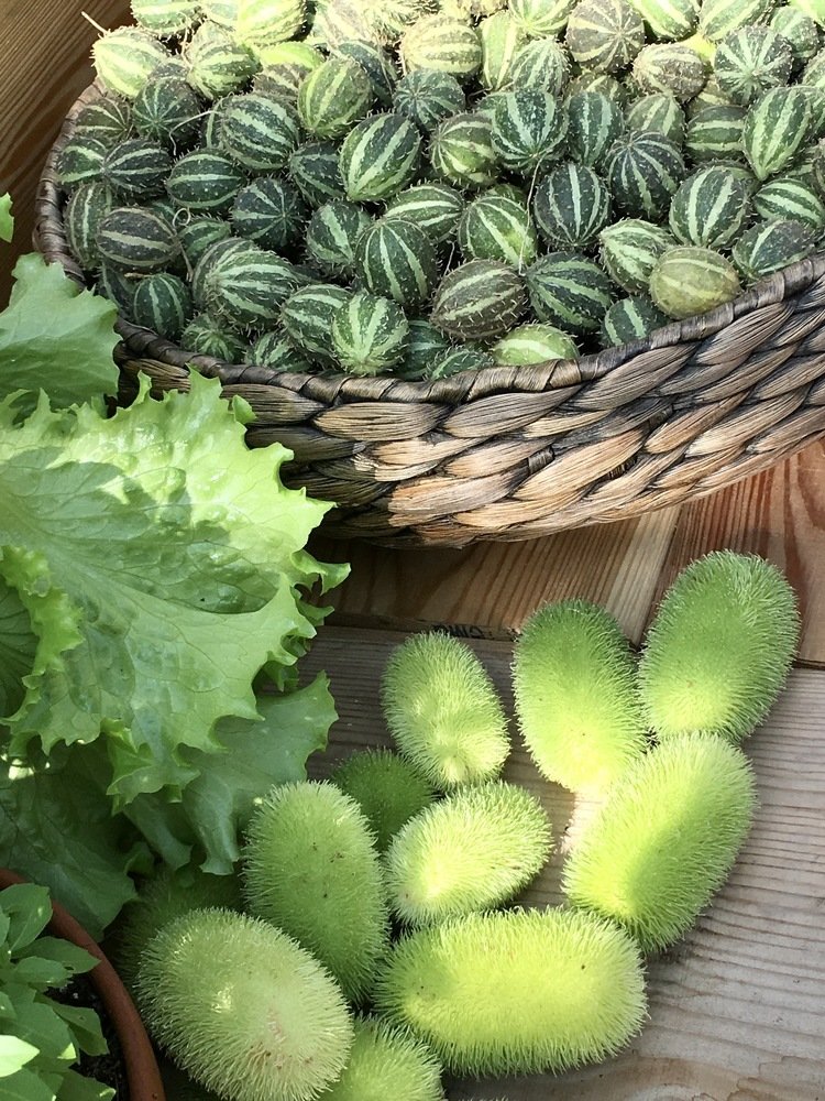 Photograph by Елена Эделева