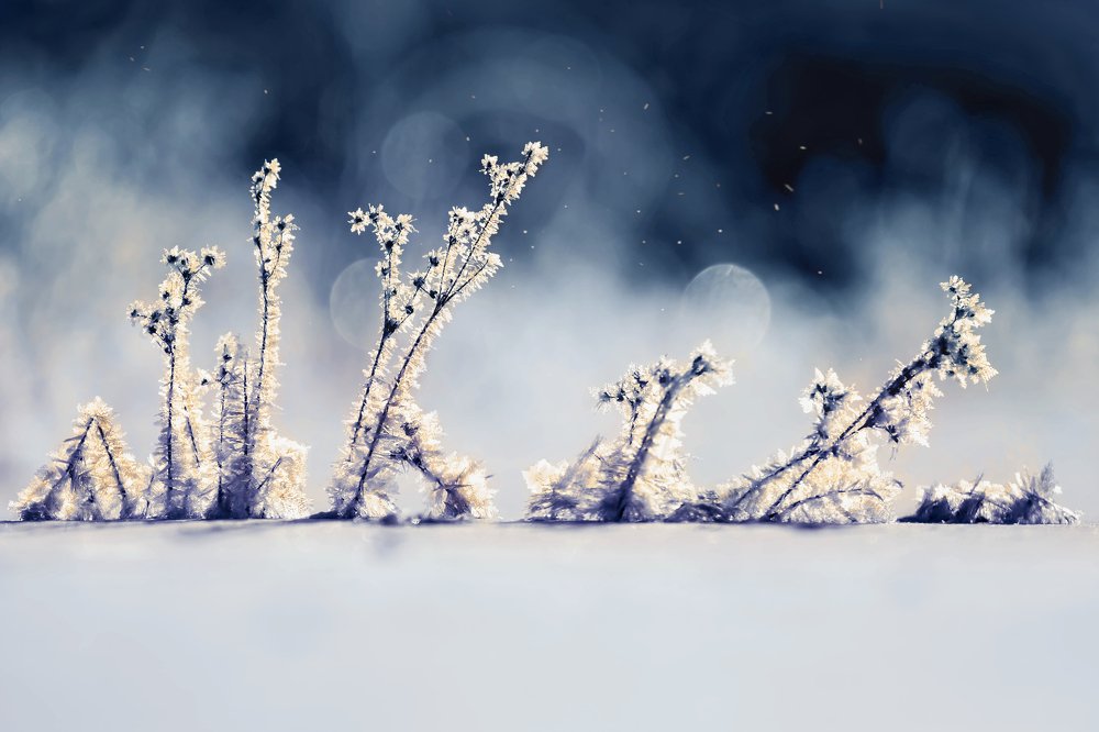 Фотография автора Vyacheslav Lozhkin