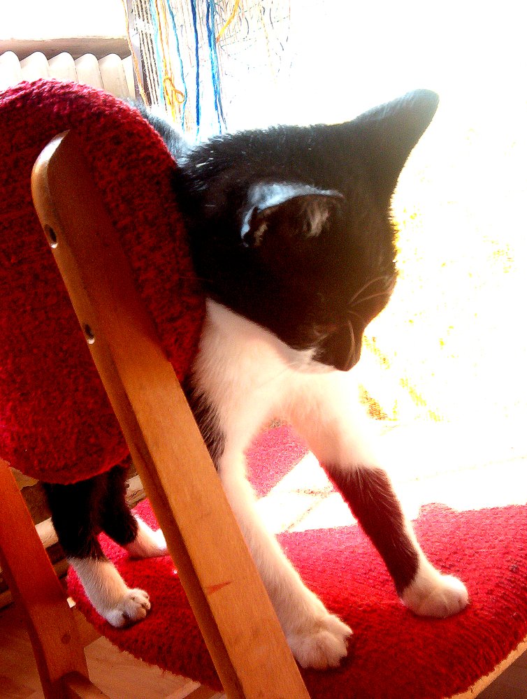 Photograph by eszter bodnár