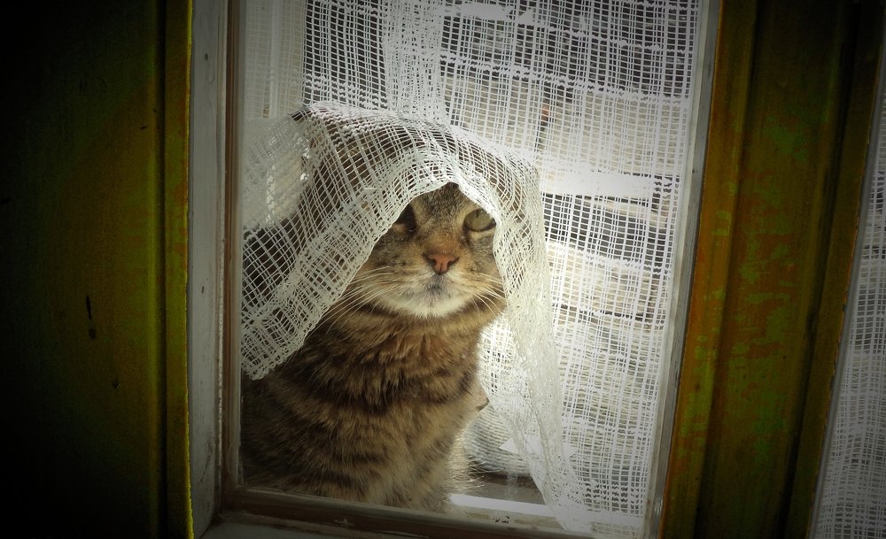 Photograph by eszter bodnár