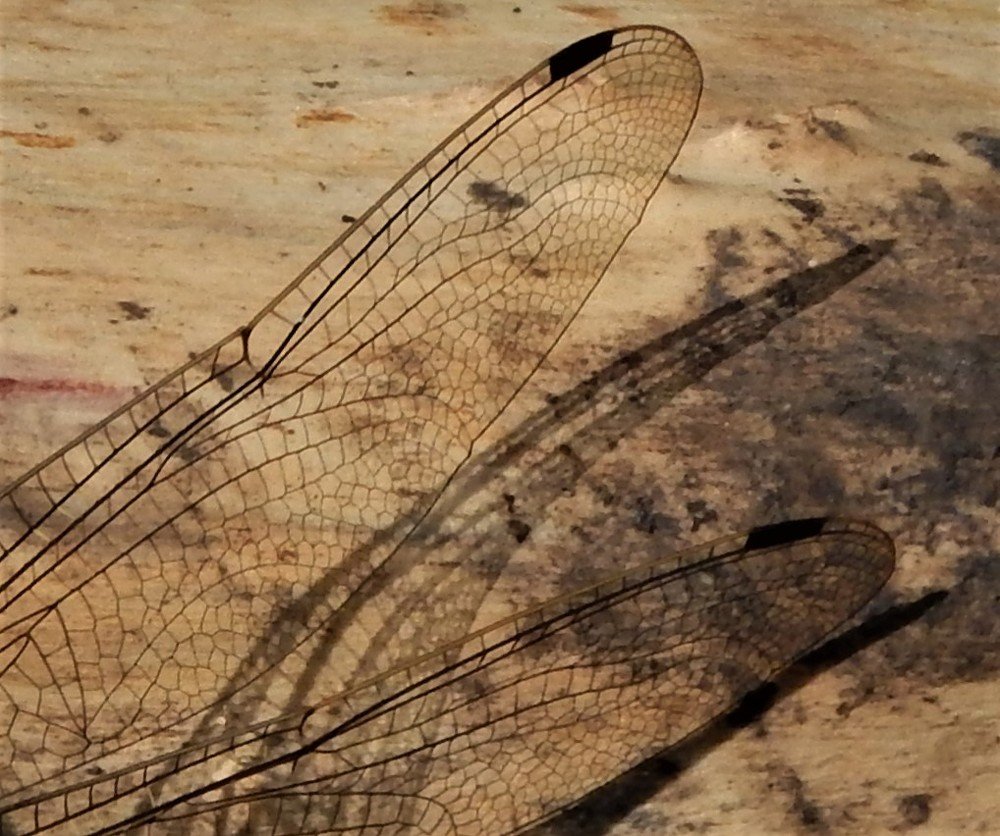 Photograph by Ирина Самойленко