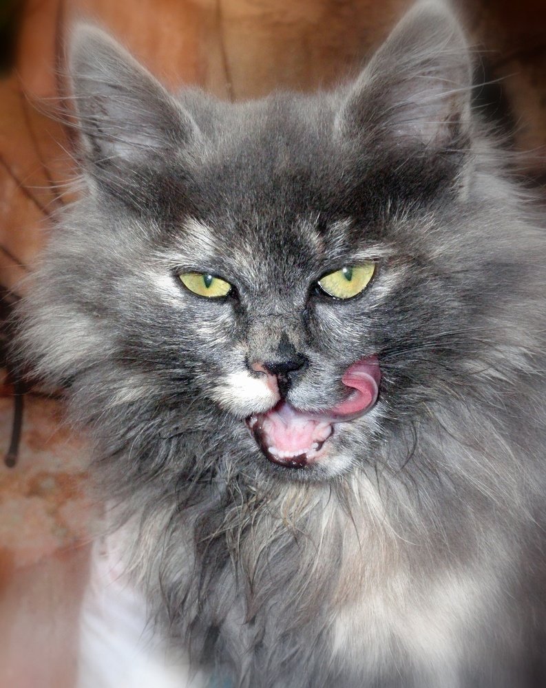 Photograph by Виктор Косюк