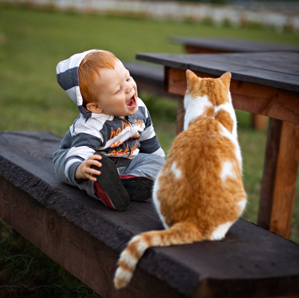 Фотография автора Александра Кириллова