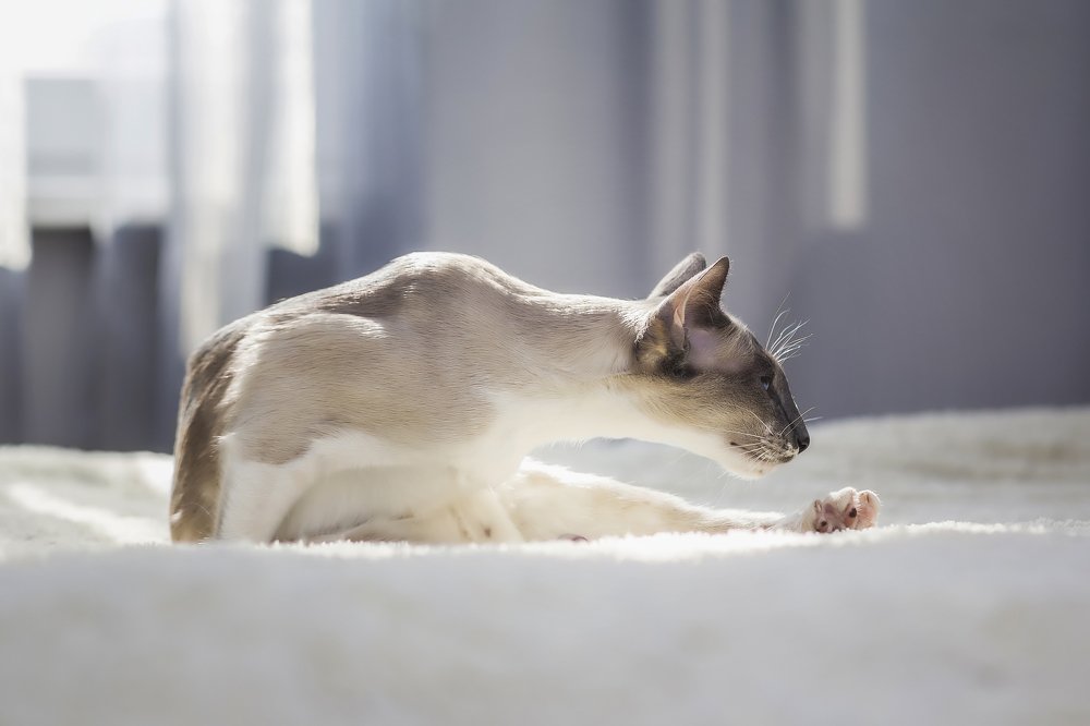 Photograph by Рушана Баженова