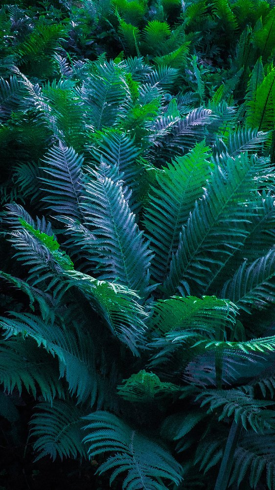 Photograph by Олег Мухачев