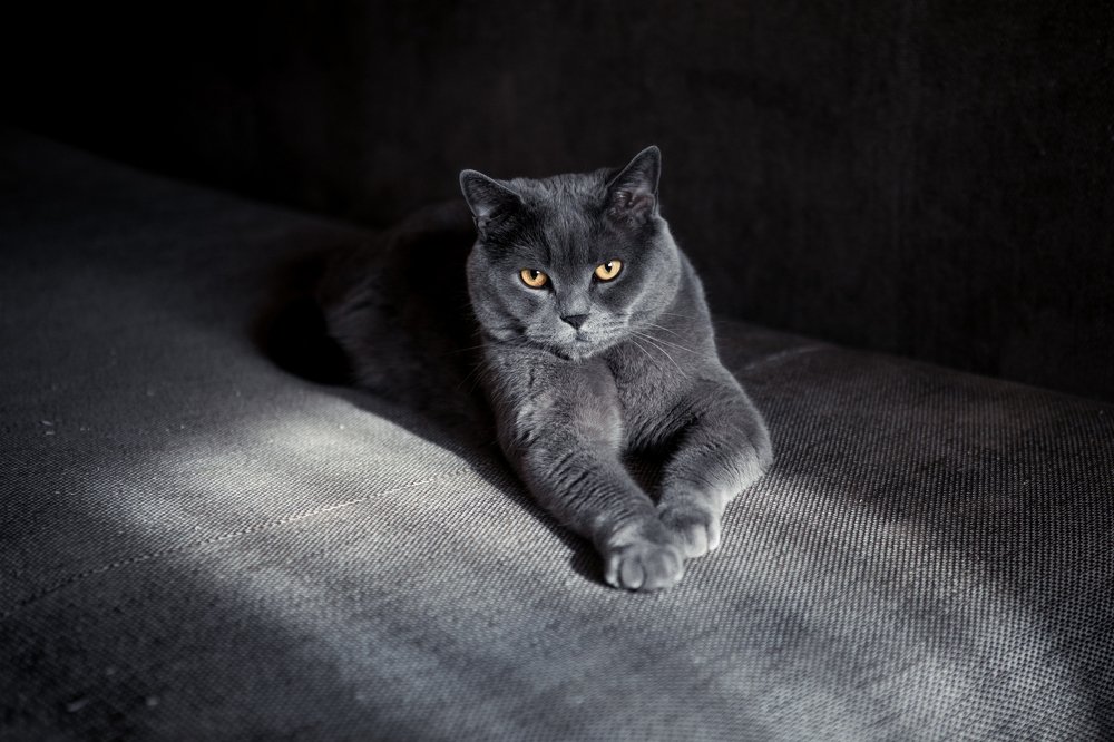 Photograph by Леонид Игнатов