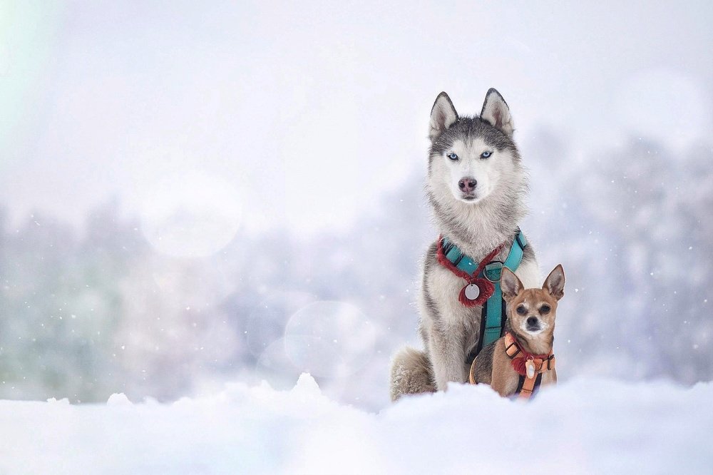 Фотография автора Мария Яропольская
