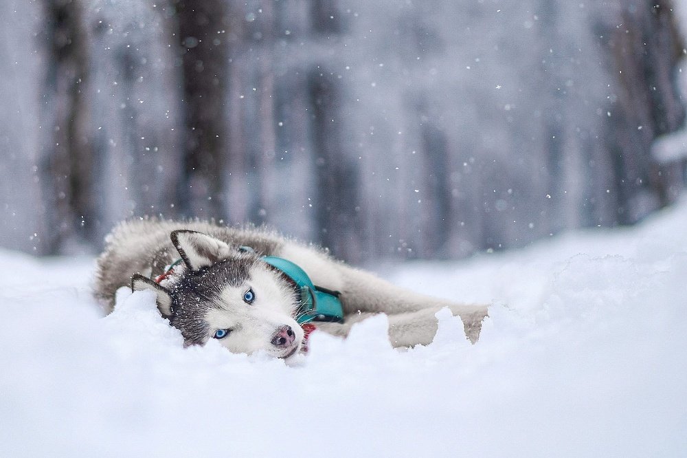 Фотография автора Мария Яропольская
