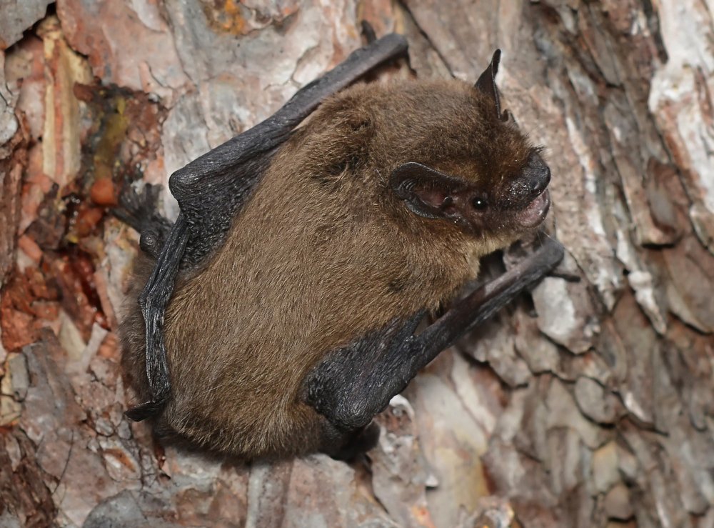 Photograph by Михаил Колтухов