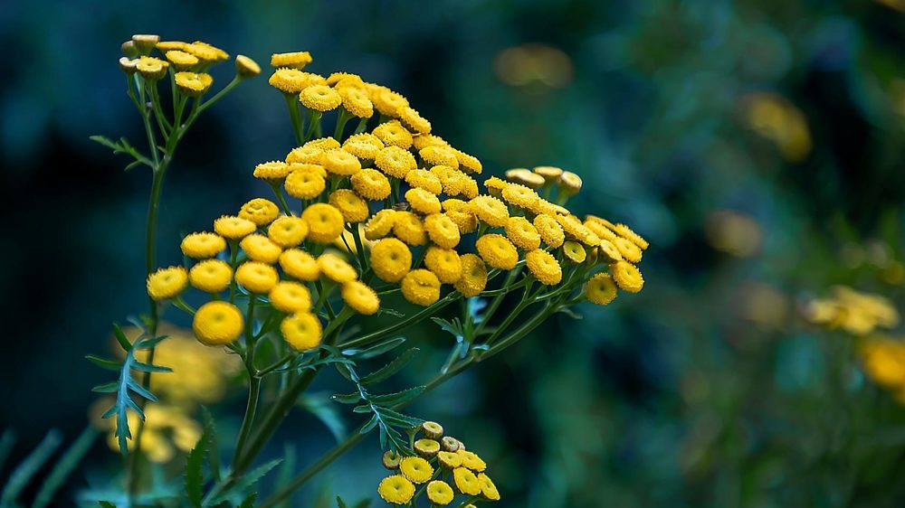 Photograph by Elena Gebert