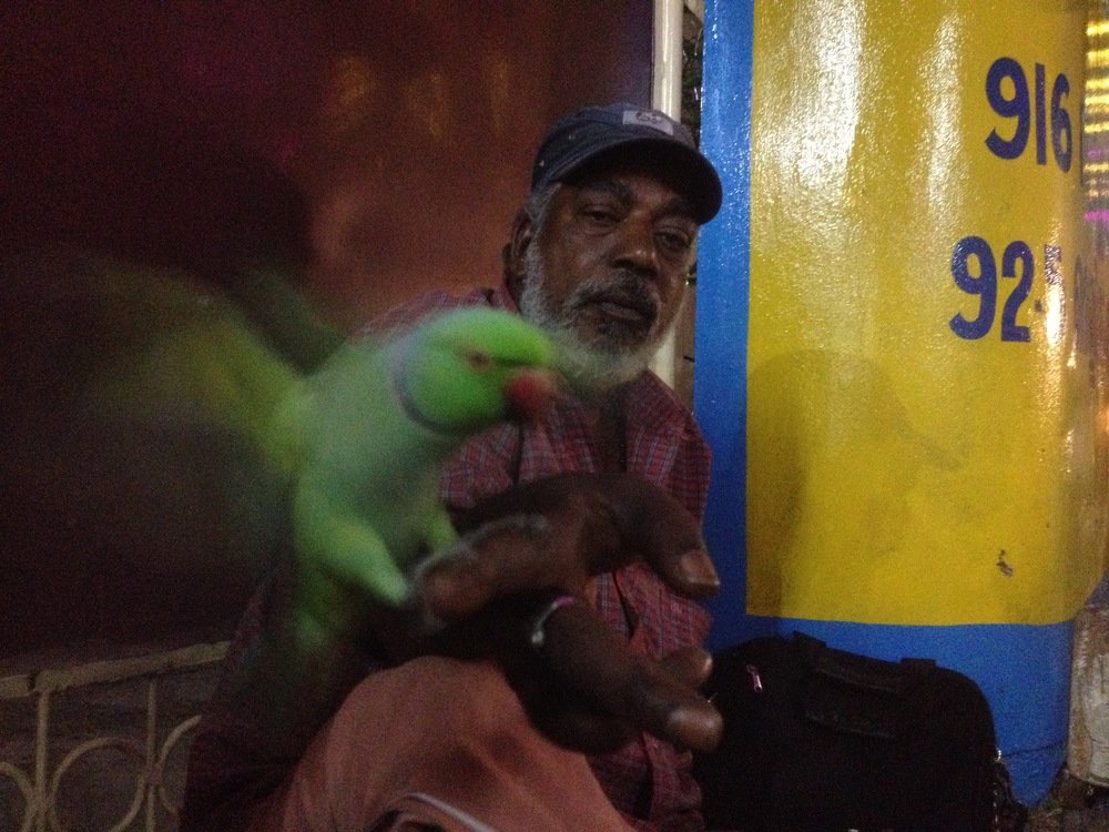 Photograph by Harisankar B