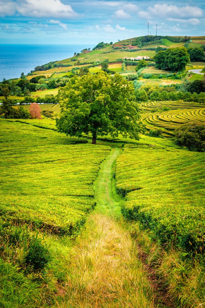 Photograph by Evgeni Fabis