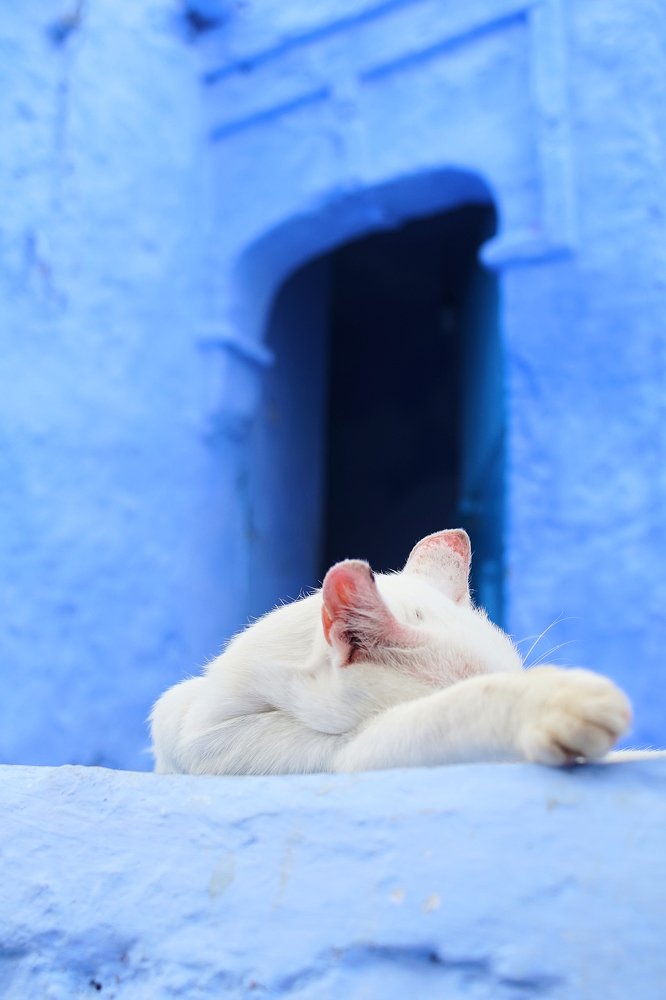 Photograph by ivan origgi