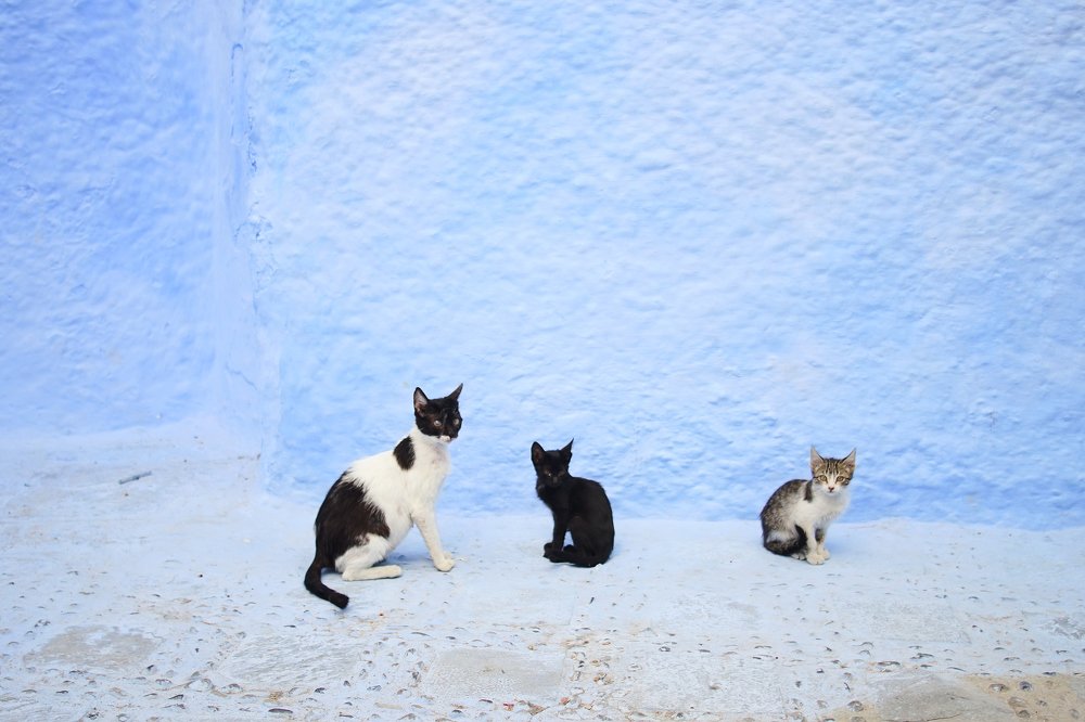 Photograph by ivan origgi