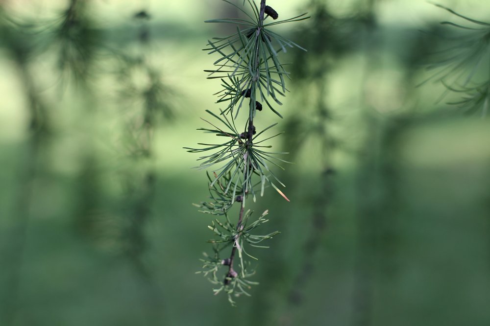 Photograph by Евгений Беленков