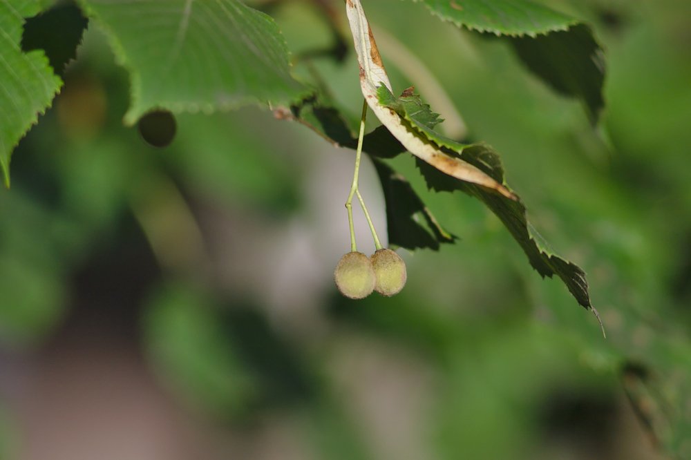 Photograph by Евгений Беленков