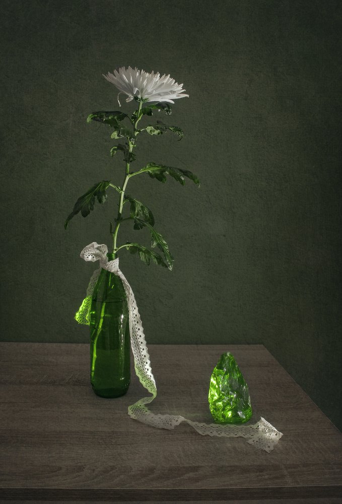 Натюрморт с хризантемой в зелёном цвете