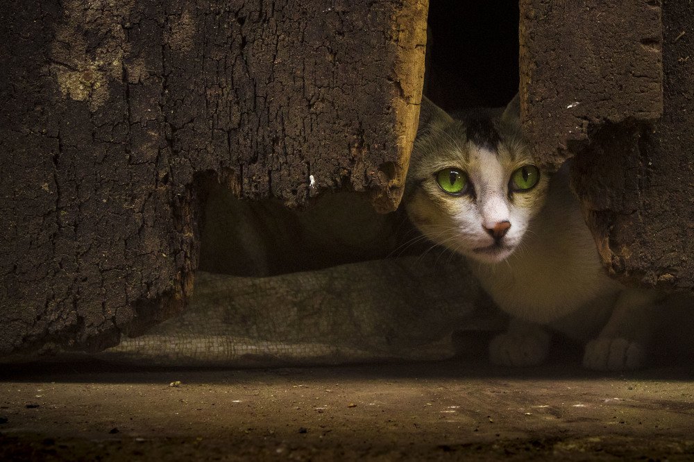 Photograph by sanjeet tripathy