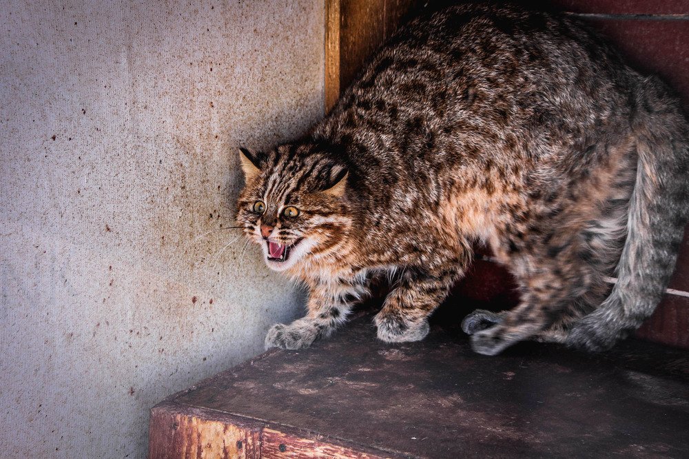 Photograph by Маргарита Федурина