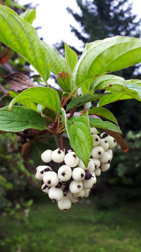 Photograph by Кадырова Анастасия