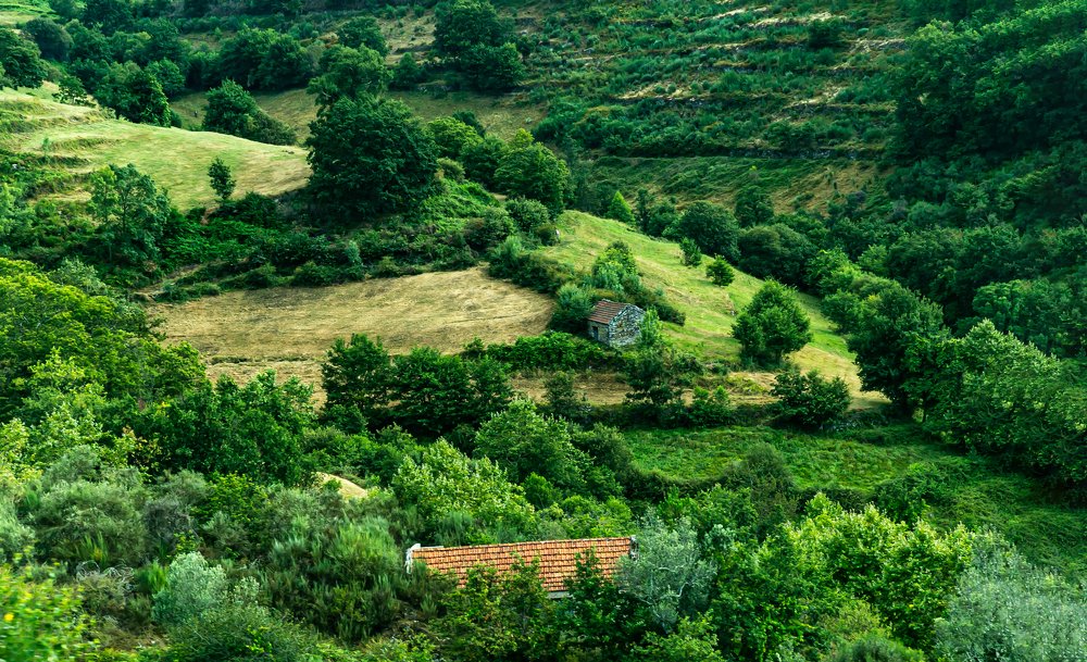 Photograph by Elena Gebert