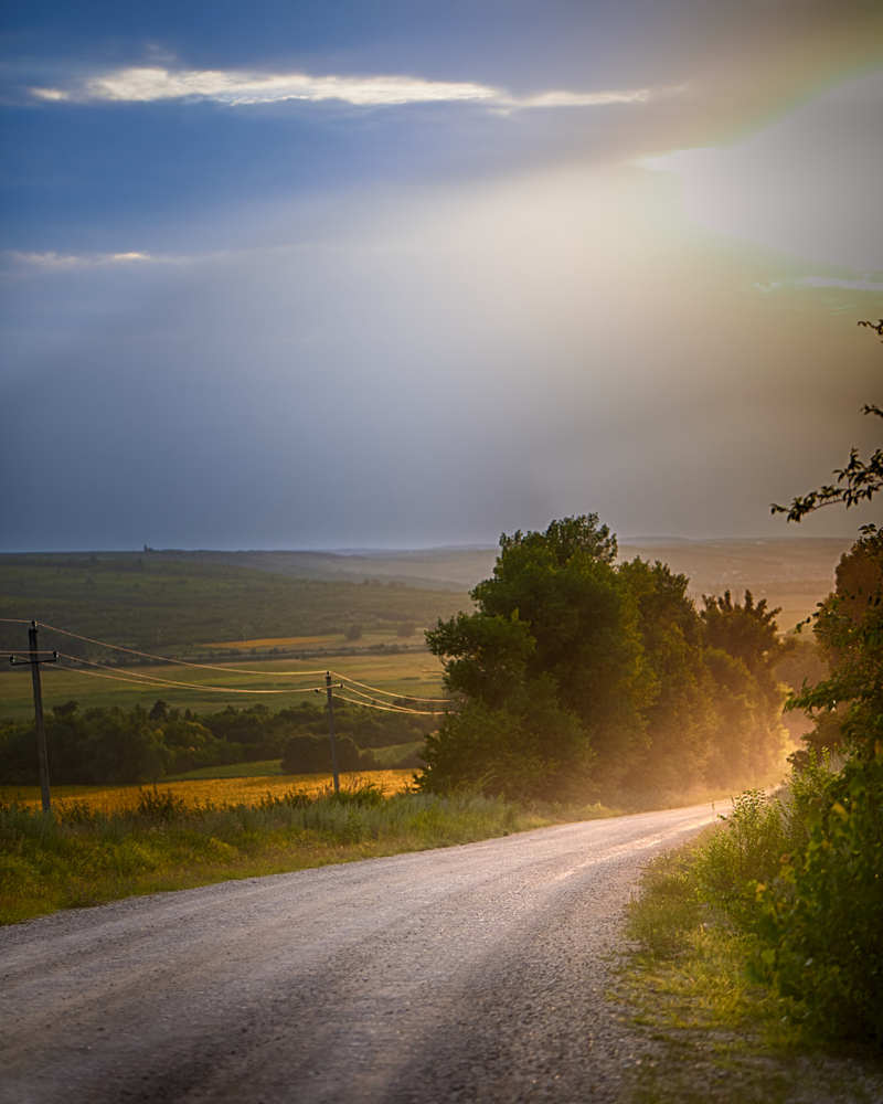 Photograph by Natalia Ghimp