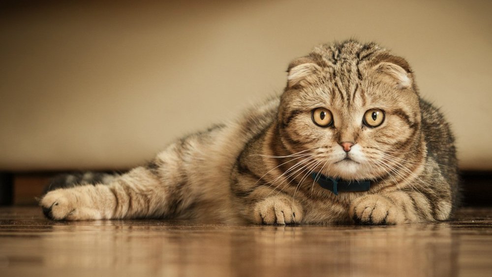 Photograph by Антон Тимошевский