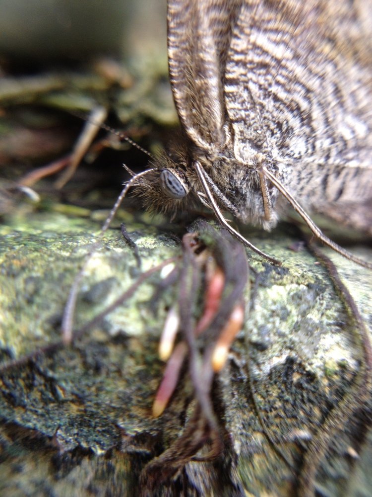 Photograph by Harisankar B