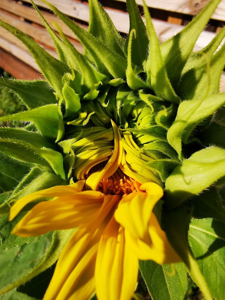 Фотография автора Anna NovaLova