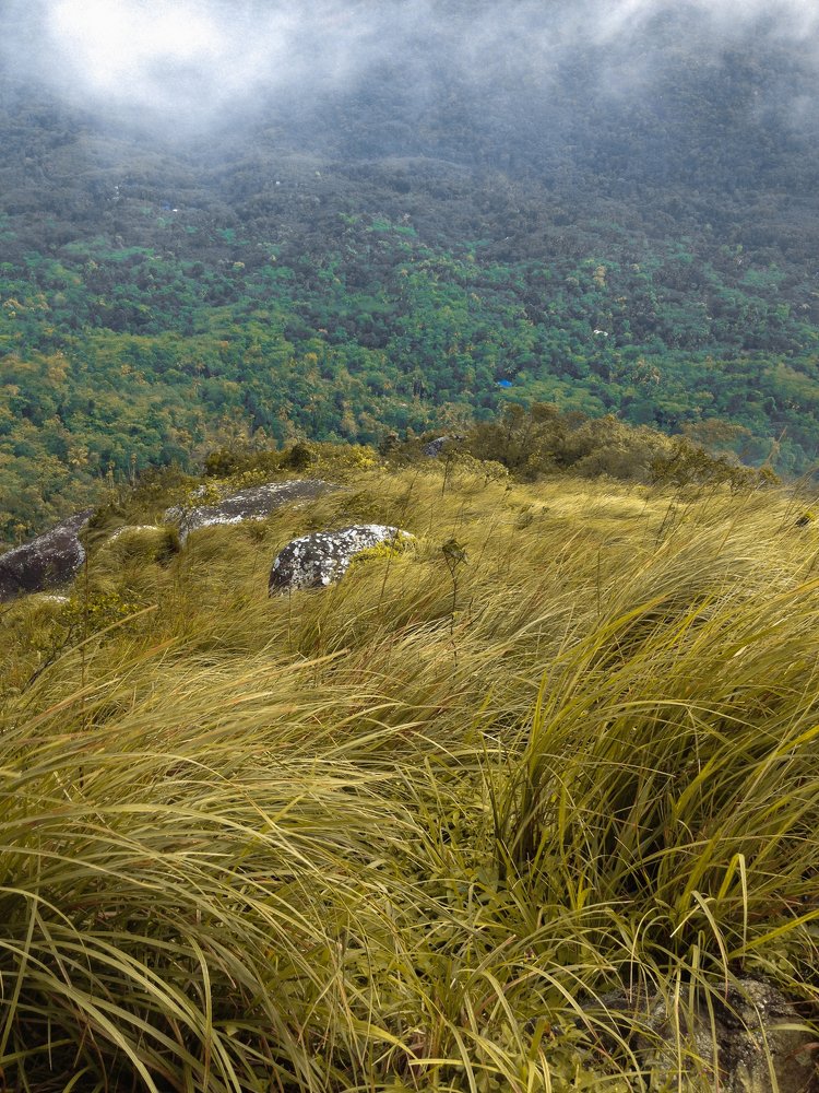 Photograph by Harisankar B