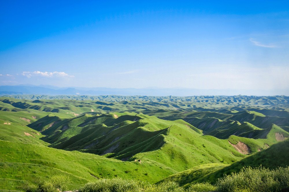 Photograph by Rasool Shokri