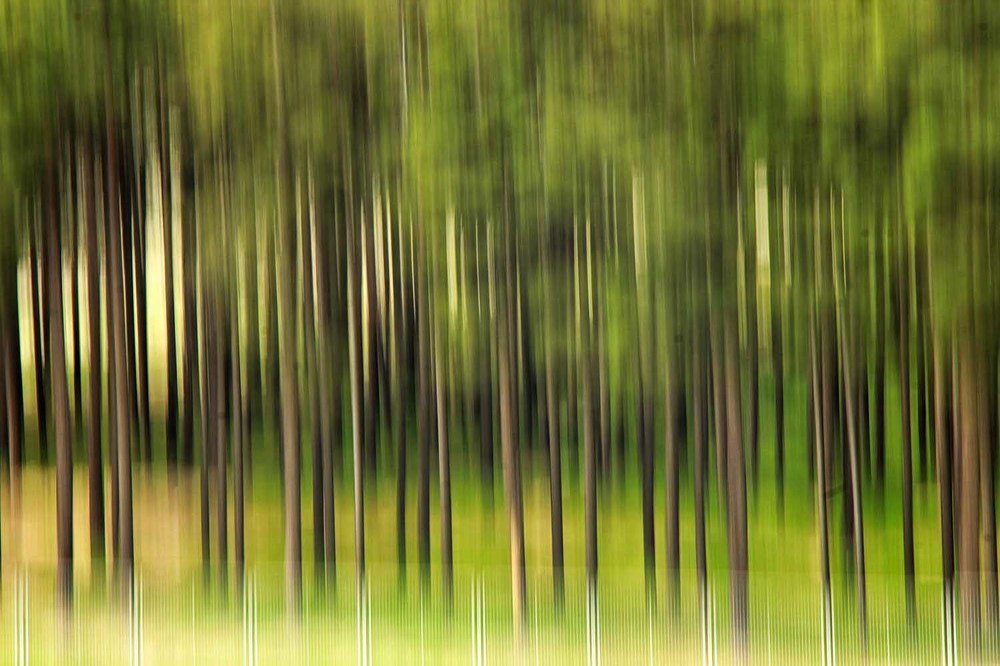 Photograph by  mohammad