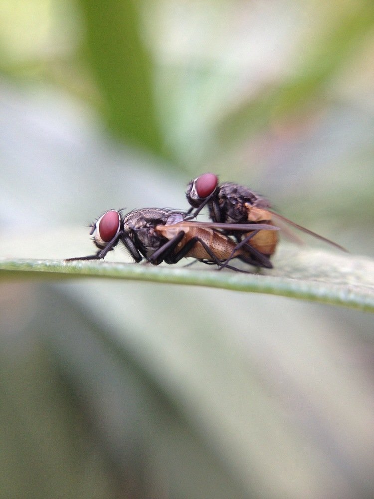 Photograph by Harisankar B