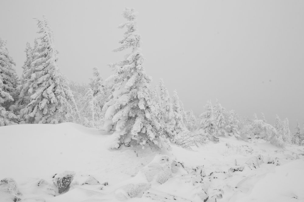 Photograph by Татьяна Бирюкова