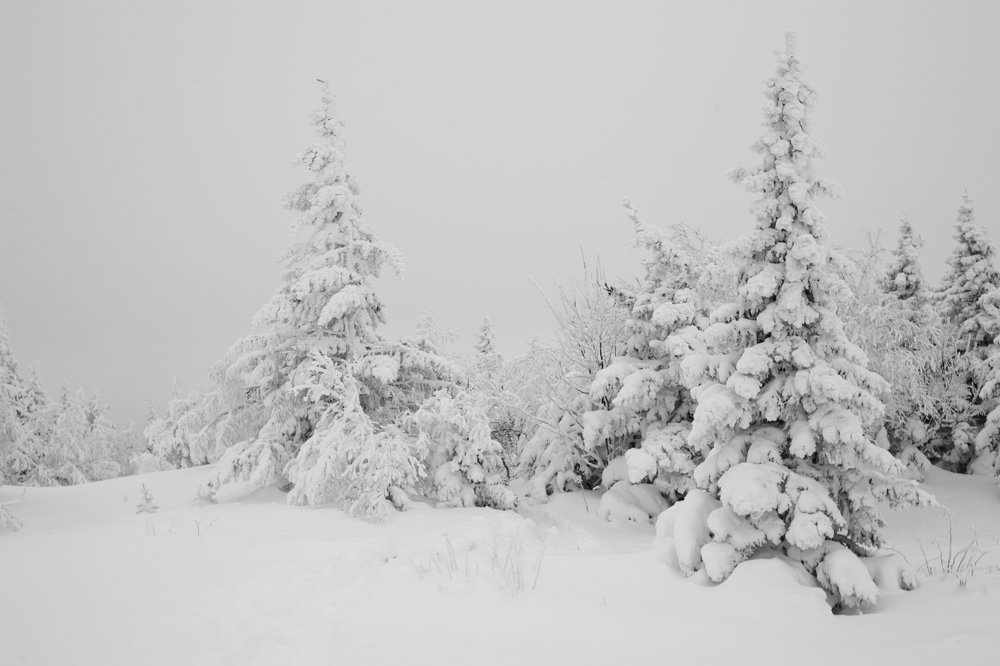 Photograph by Татьяна Бирюкова