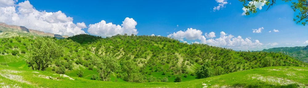 Photograph by Mohammad Sadegh Vasiei