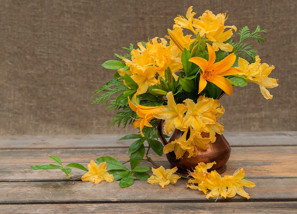 Photograph by Ольга Дядченко