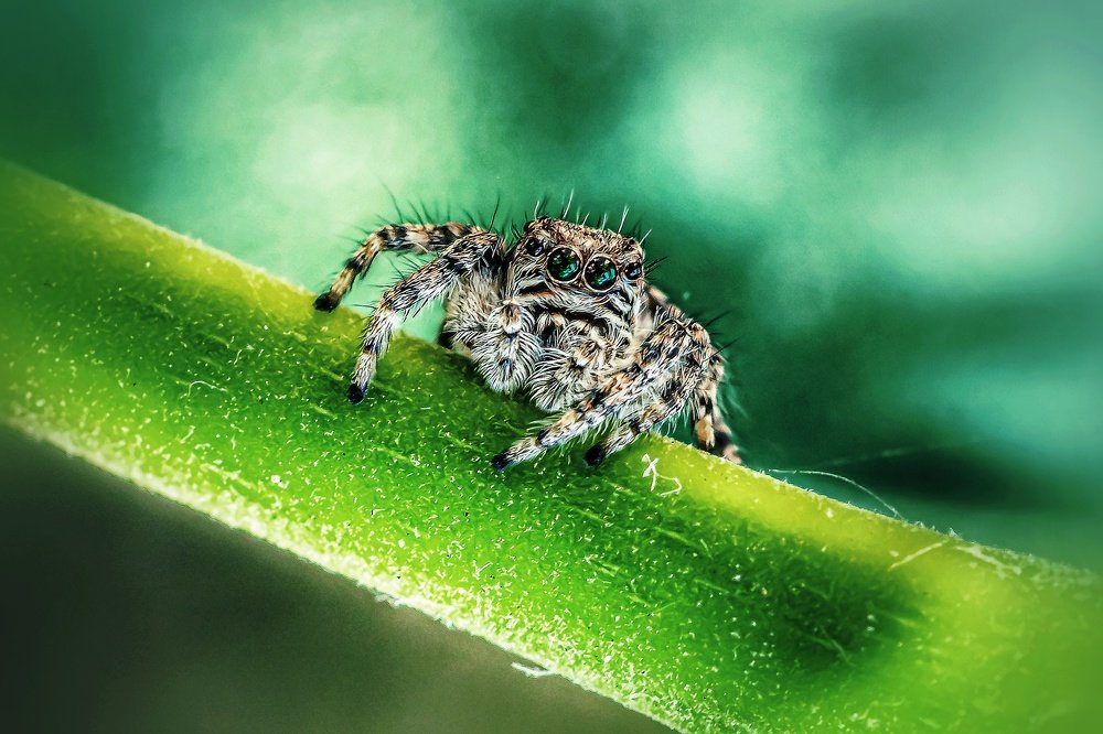 Photograph by Vahid Yavari