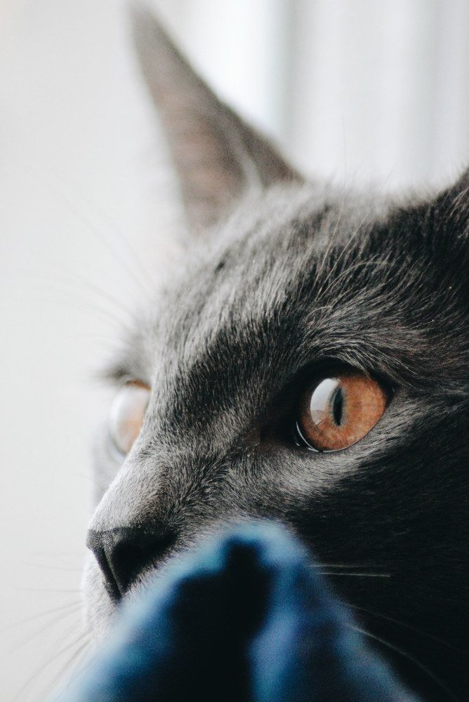 Photograph by Екатерина Гущина