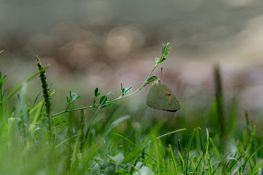 Photograph by Vahid Yavari