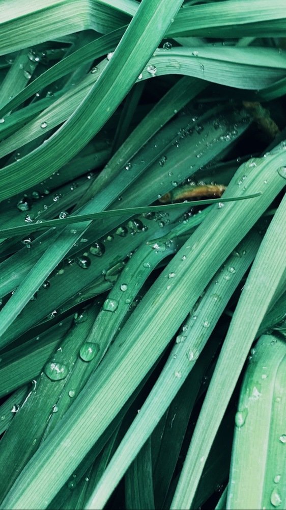 Photograph by Ася Кострова