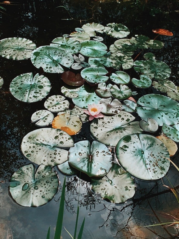 Photograph by Ася Кострова