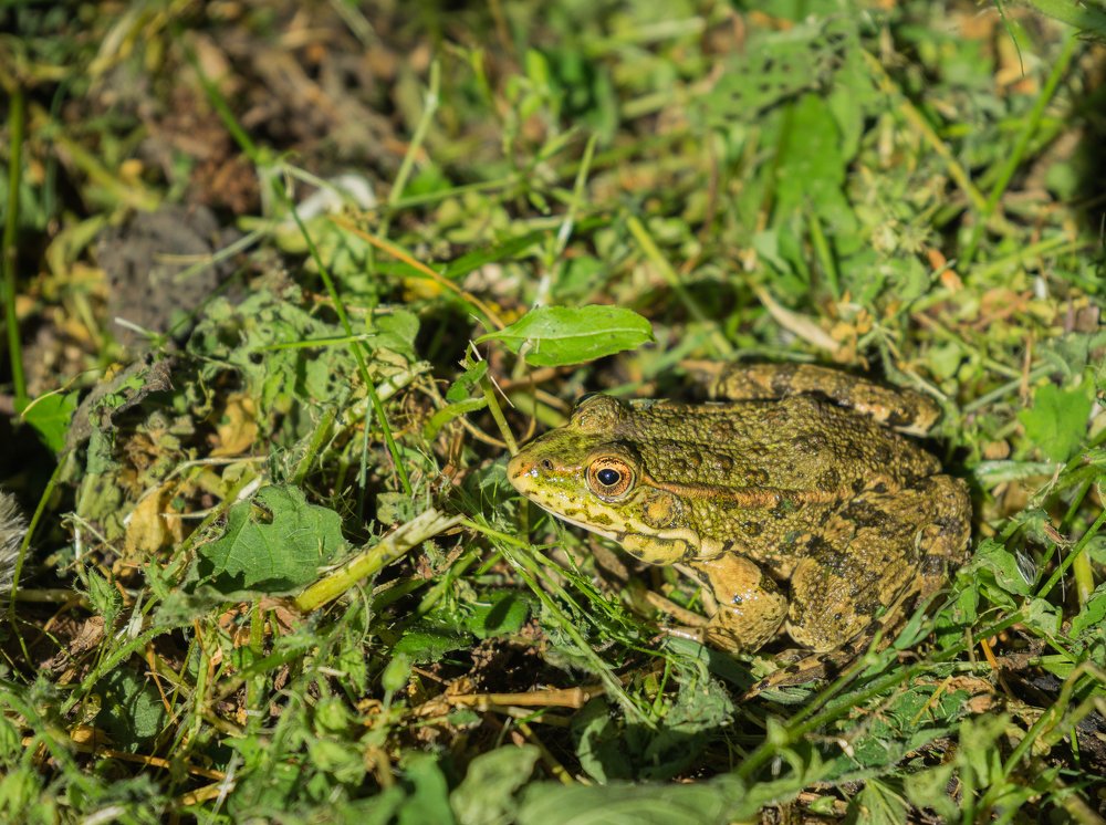 Photograph by Виктор Зотов