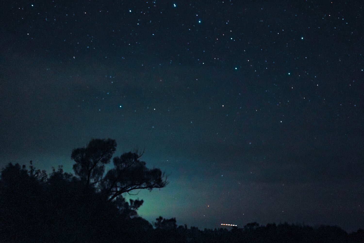 Photo #3558188