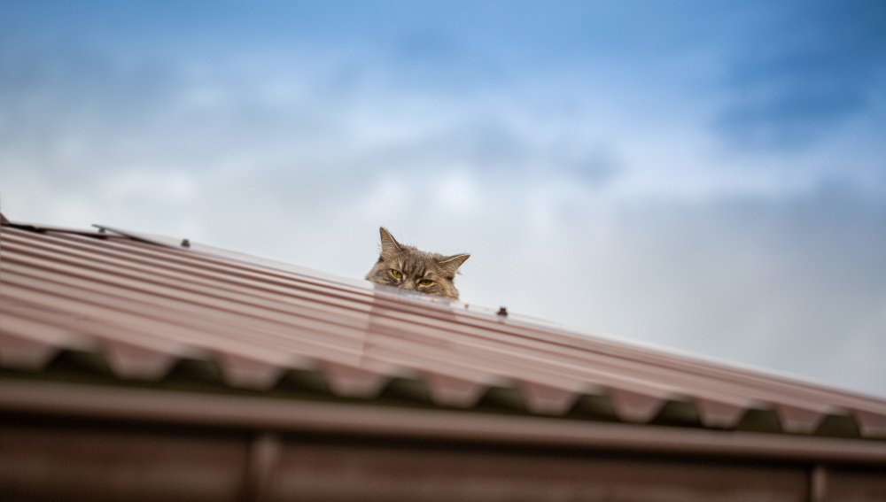 Одиночество...