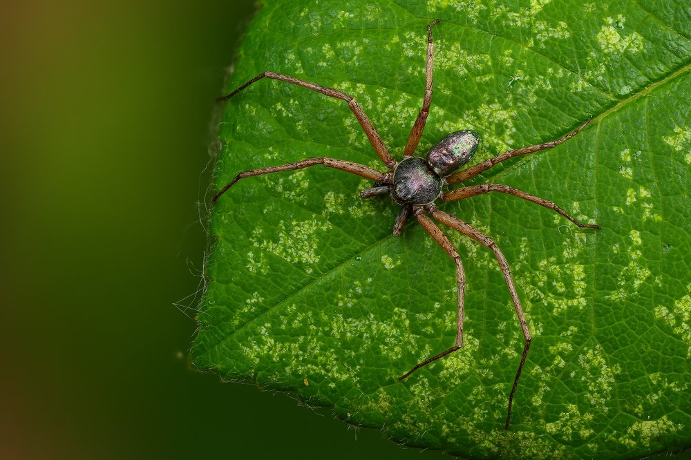 Фотография автора Андрей Шаповалов