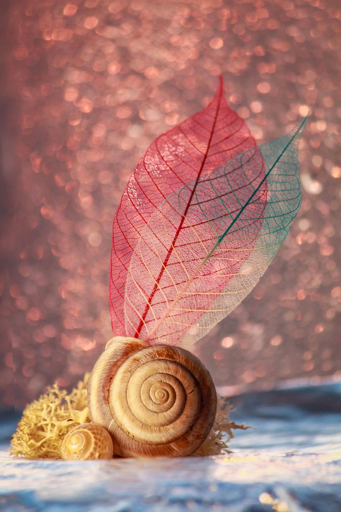 Photograph by Маргарита Федурина