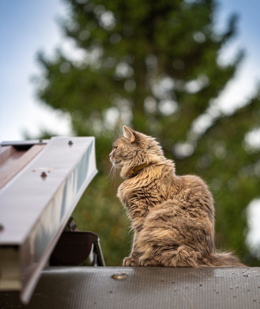 Одиночество...