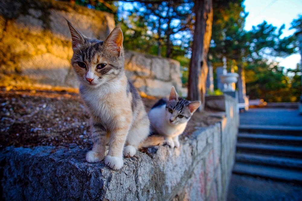 Photograph by Илья