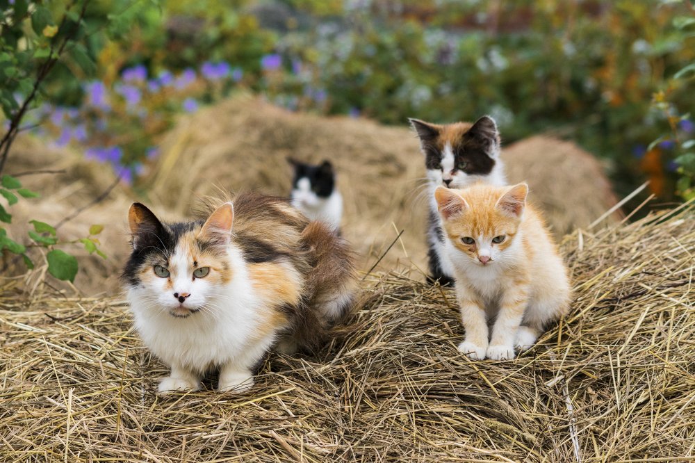 Photograph by Илья